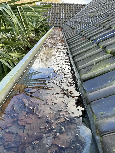 Dakgoot vol bladeren naast een leien dak