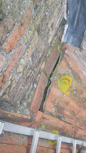 Dakpannen en gevelaansluiting naast een ladder