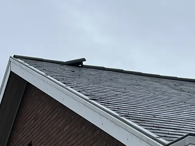 Hellend dak met leien en een dakrand