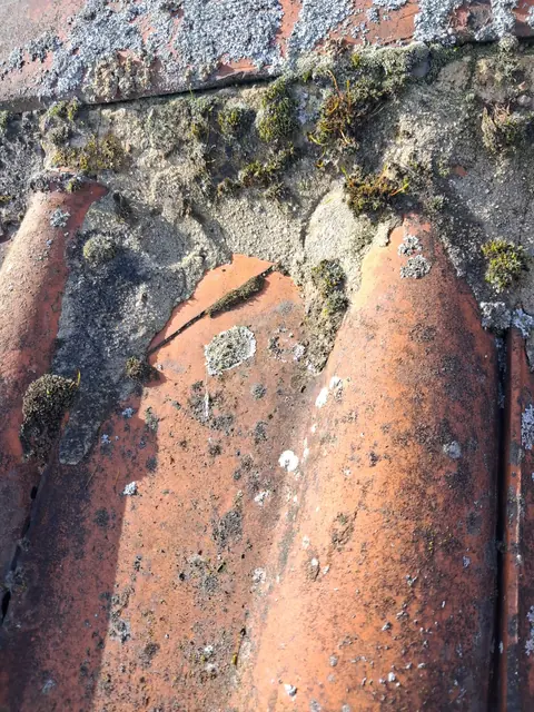 Nokpannen met mos en voegwerk dat loslaat