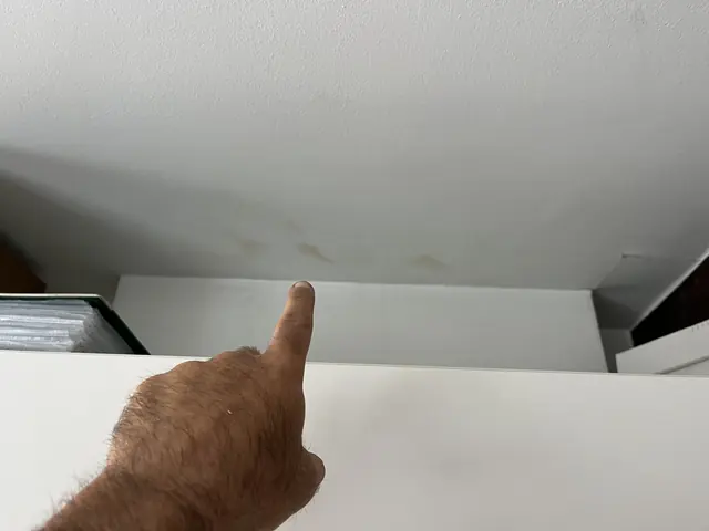Vochtplek op een plafond, aangeduid tijdens een inspectie